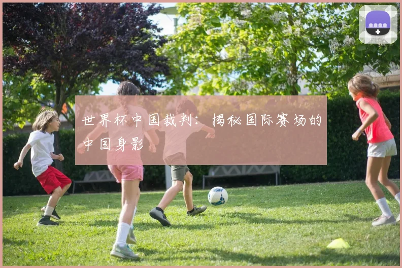 世界杯中国裁判：揭秘国际赛场的中国身影