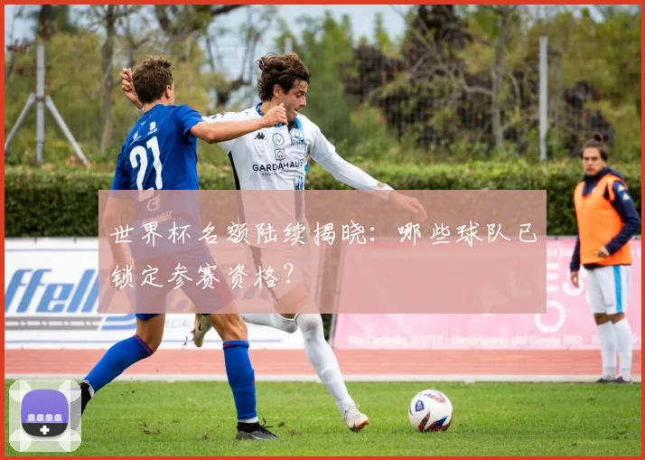 世界杯名额陆续揭晓：哪些球队已锁定参赛资格？