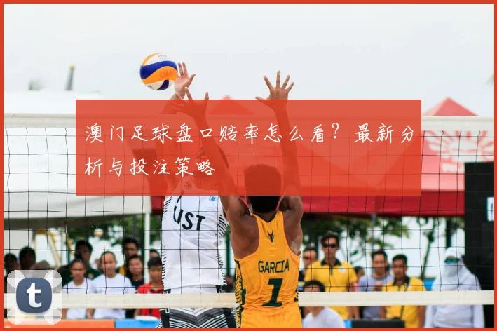 澳门足球盘口赔率怎么看？最新分析与投注策略