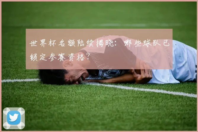 世界杯名额陆续揭晓：哪些球队已锁定参赛资格？